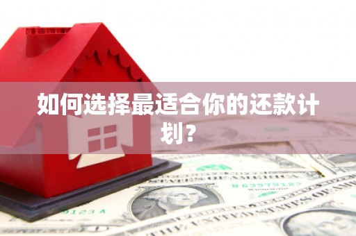 琼中如何选择最适合你的还款计划？