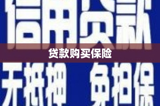 琼中贷款购买保险