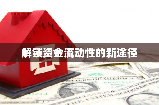 琼中解锁资金流动性的新途径