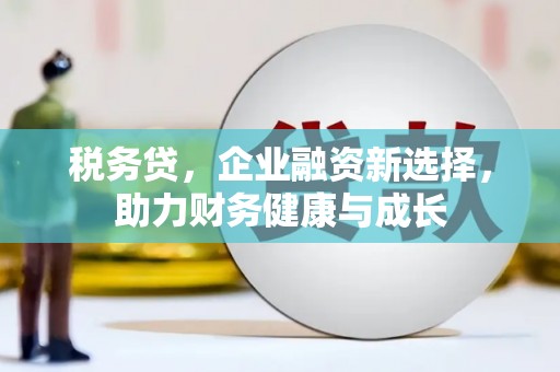琼中税务贷，企业融资新选择，助力财务健康与成长