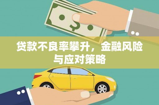 琼中贷款不良率攀升，金融风险与应对策略