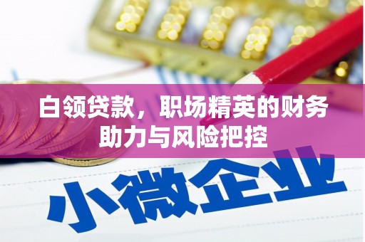 琼中白领贷款，职场精英的财务助力与风险把控