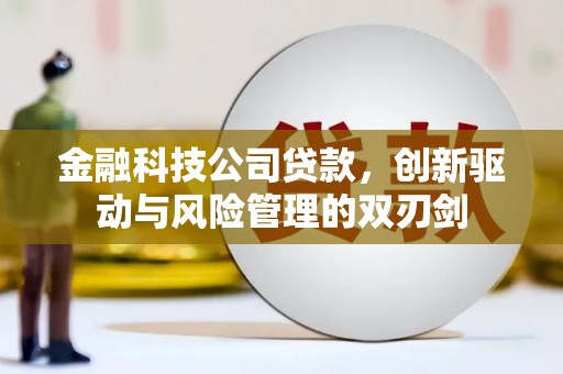 琼中金融科技公司贷款，创新驱动与风险管理的双刃剑