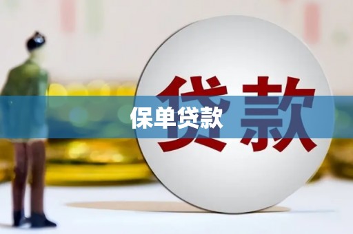 琼中保单贷款